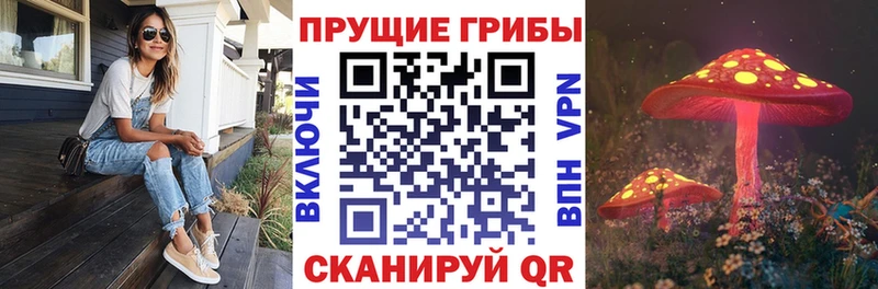 Псилоцибиновые грибы Cubensis  Березники 
